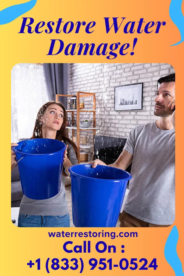 water restoration Reliable Cleanup Company Suffolk