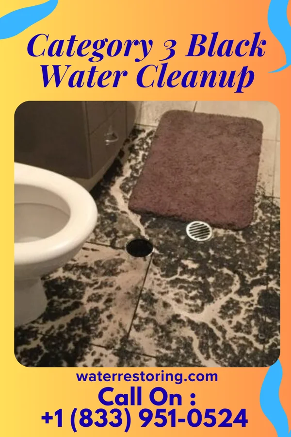 Category 3 Black Water Cleanup in Suffolk, VA