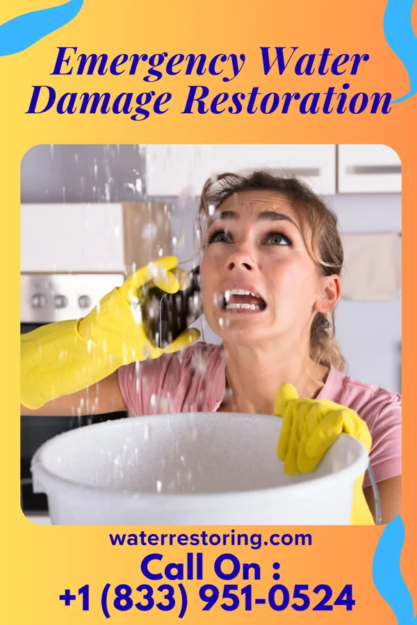 Emergency Water Damage Restoration in Suffolk, VA