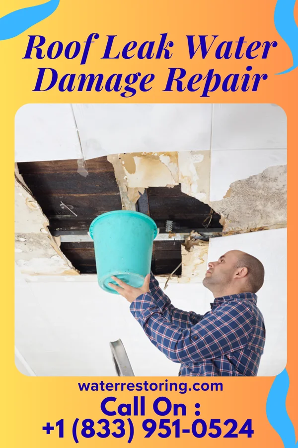 Roof Leak Water Damage Repair in Suffolk, VA