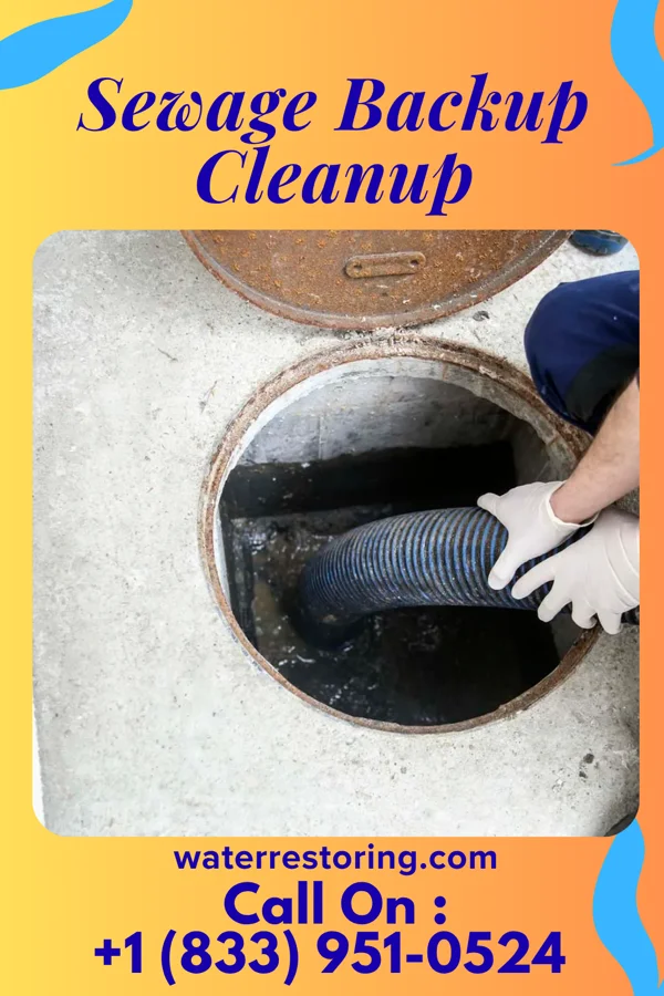 Sewage Backup Cleanup in Suffolk, VA